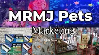 pinaka sikat na petshop sa davao (MRMJ PETS MARKETING DAVAO)