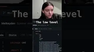 What is Go similar to? #twitch #golang