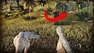 Raptor survival | The Isle Evrima