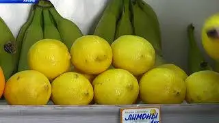 Пособие по безработице