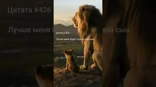 Цитаты 