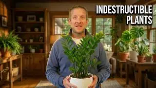 These 10 Plants Will Survive Anything You Do to Them