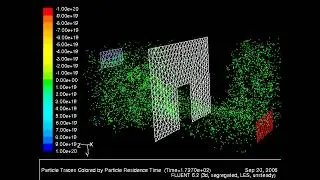 Transient Particles