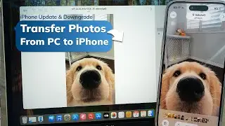 How to Transfer Photos from PC to iPhone Using USB Cable (Quick & Easy 2025 Guide)