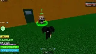 I ROLLED A FREAKIN LEOPARD IN BLOX FRUIT