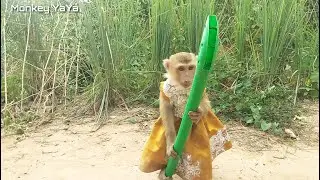 YaYa Walking Escorts Mom Carrying Plastic Stick Defending