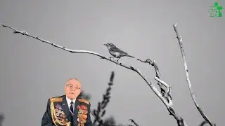 Пивоваров Леонид Захарович Проект 