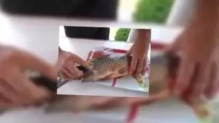 Как быстро почистить рыбу
