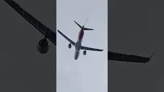 Helvetic Airways Missed Approach 
