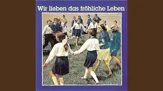 Partisanen vom Amur (Durch's Gebirge, durch die Steppen zog)