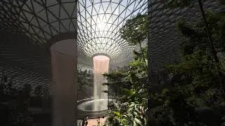 Nature Sound Of Changi Airport
