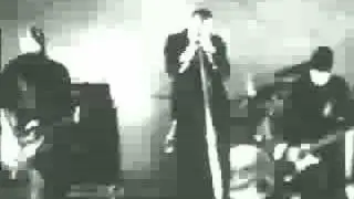 Snot - Stoopid