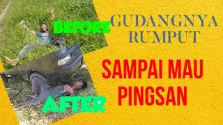 NGARIT RUMPUT PAITAN