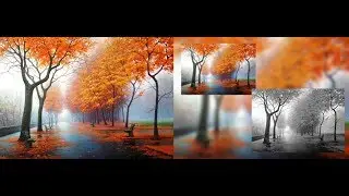PHOTOSHOP : How to use Blur Tool Effect
