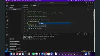 Go lang tutorial - 17 - Interface tricks in Go lang