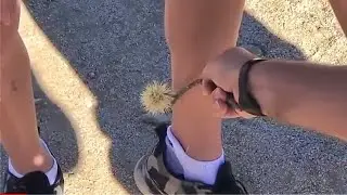 Shot on iPhone Meme