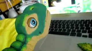The Cute Pleo Watching Himself On YouTube!