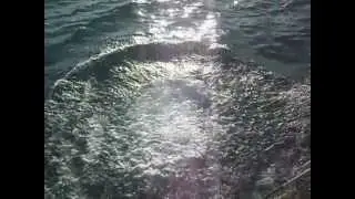 SDC16824.AVI