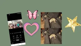 A random videos of my family & Pinay& Pugs😊