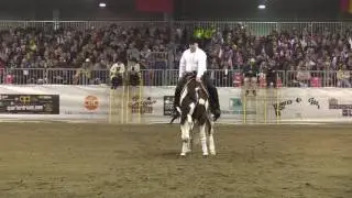 MARKUS GEBERT & WHIZ A LOT -  Futurity 2016