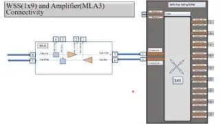 Physical Connectivity between Ciena WSS 1x9 to LIM (Amplifiers) in Signal Flow of DWDM