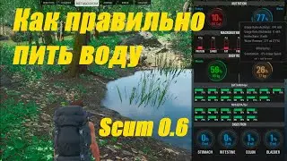 Как пить воду в Scum 0.6