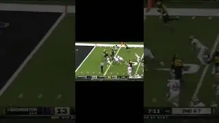Washington vs Michigan in cfp championship