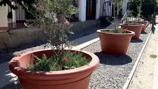 Чили/ прогулка в небольшом городке