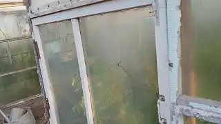 Интуиция работает всё с вечера.закрыл Бригадиру