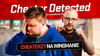 TRAFILIŚMY CHEATERÓW NA WINGMANIE! 😮