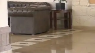И голуби умеют отдыхать в отелях!