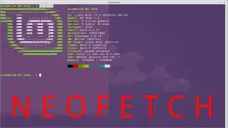 Neofetch - терминальная утилита для вывода информации о системе.