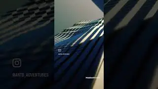 Notch real-time audio reactive waves. Roland D-50 and Tardigrain audio.