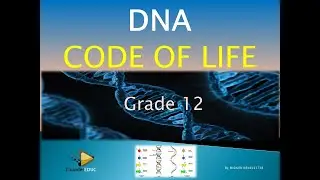 DNA CODE OF LIFE | LIFE SCIENCES GRADE 12| TERM 1, 2025 | M.SAIDI | ThunderEDUC