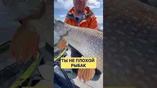 Лови на BRIALIN #рыбалка #щука #спиннинг