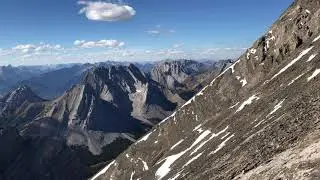 Bird -Mt Rae