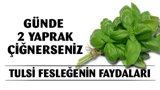 Fesleğenin bilinmeyen mucizevi faydası... Fesleğen bakın neye iyi geliyor?