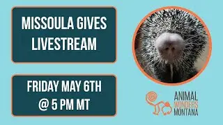 Animal Wonders Livestream - Missoula Gives 2022