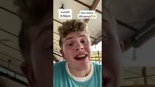 I ate Malaysian food for the whole day! 