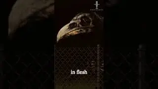 Bird-Human Hybrid Sighted in Toronto! - Unexplained Encounters Podcast