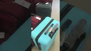 How much does a suitcase cost in Egypt?