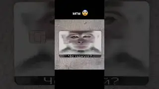 я хочу белый дом, с голубыми ставнями... 😍 #мем #meme #viral #рек #смех #ржака