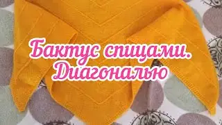 Бактус спицами. Диагональю