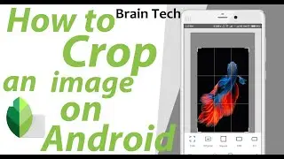 How To Crop Photo Using Any Android Phone