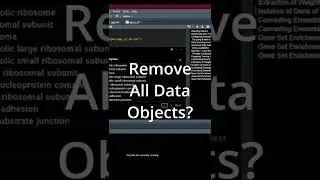 Clear the environment in R