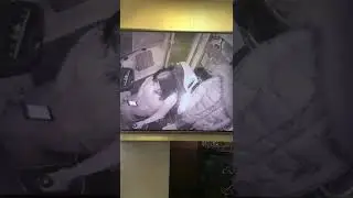 Водитель трамвая залипла в смартфоне.