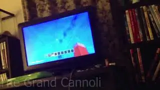 You're playing Minecraft but it's a cool summer night in 2013 while your family sleeps