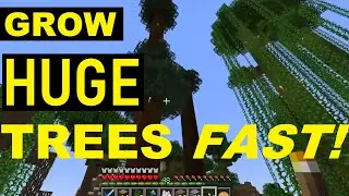 🌲 Minecraft - HUGE TALL Trees Fast! (Tips & Tricks) 2023