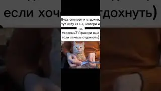 мем