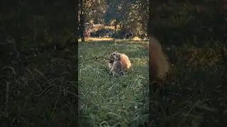 Наша замечательная прогулка 🥰